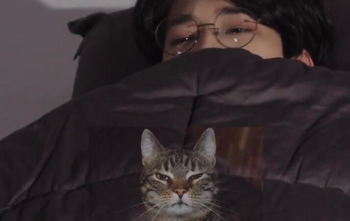 wonwoo tucked under blanket with slightly grumpy cat picture